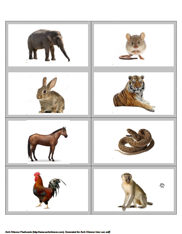 flashcards on word
